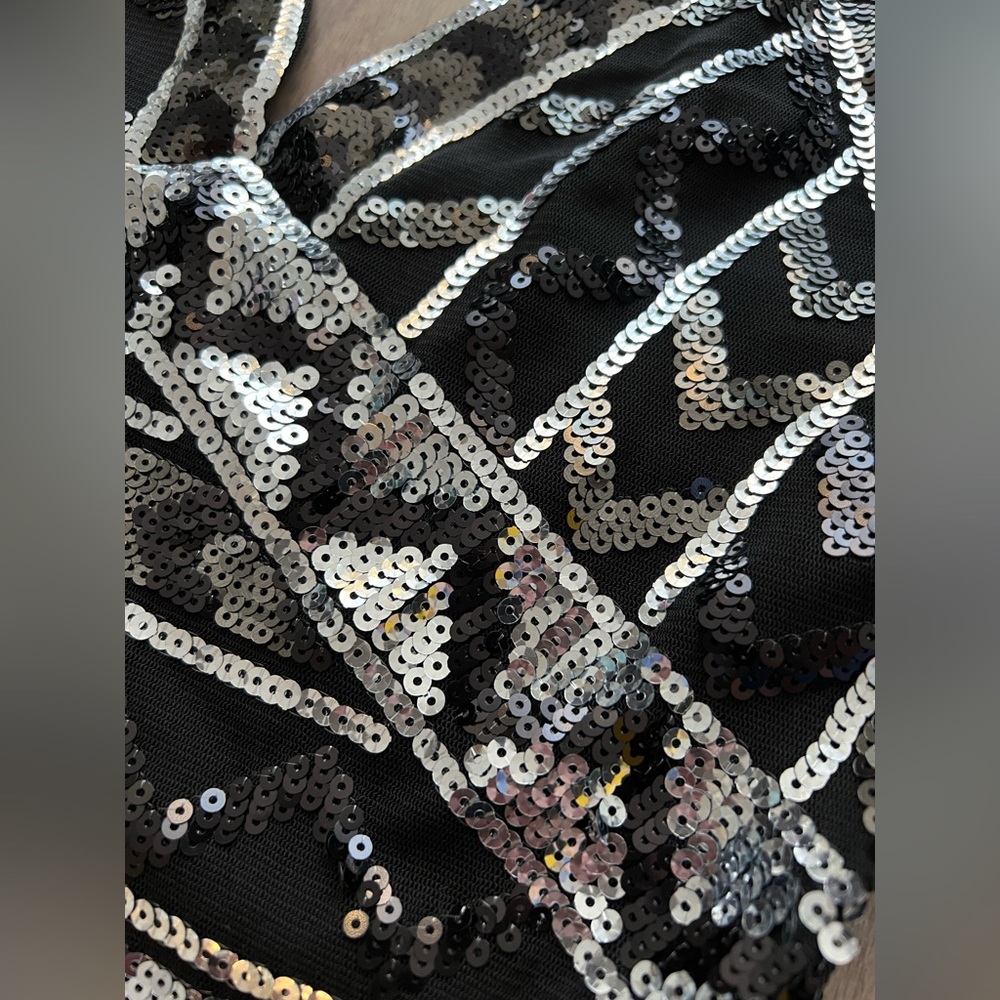 Express Sequin Dress - Picture 2 of 7